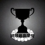 网球大满贯奖杯剪影 - 网球最高荣誉