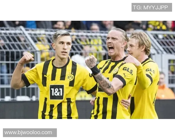 多特蒙德与弗赖堡精彩对决回放视频分析与战术解读