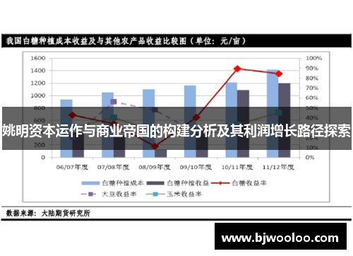 姚明资本运作与商业帝国的构建分析及其利润增长路径探索